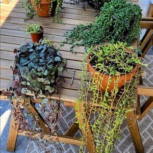 Meet your Posher, Rhonda